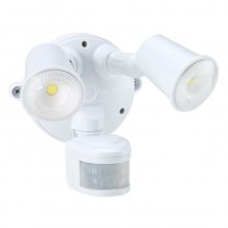 5CCT 20W White Spotlight With Sensor