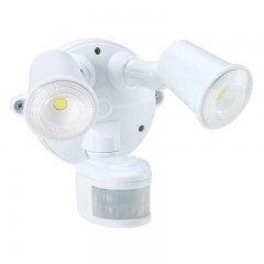 5CCT 20W White Spotlight With Sensor